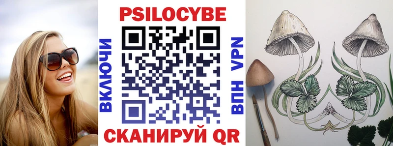 Псилоцибиновые грибы GOLDEN TEACHER Омск