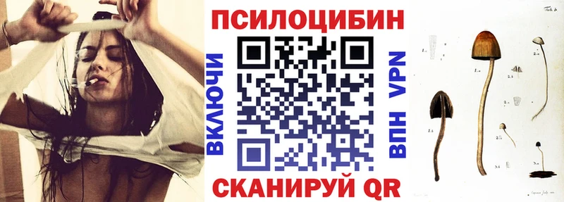 Галлюциногенные грибы Psilocybine cubensis  Омск 